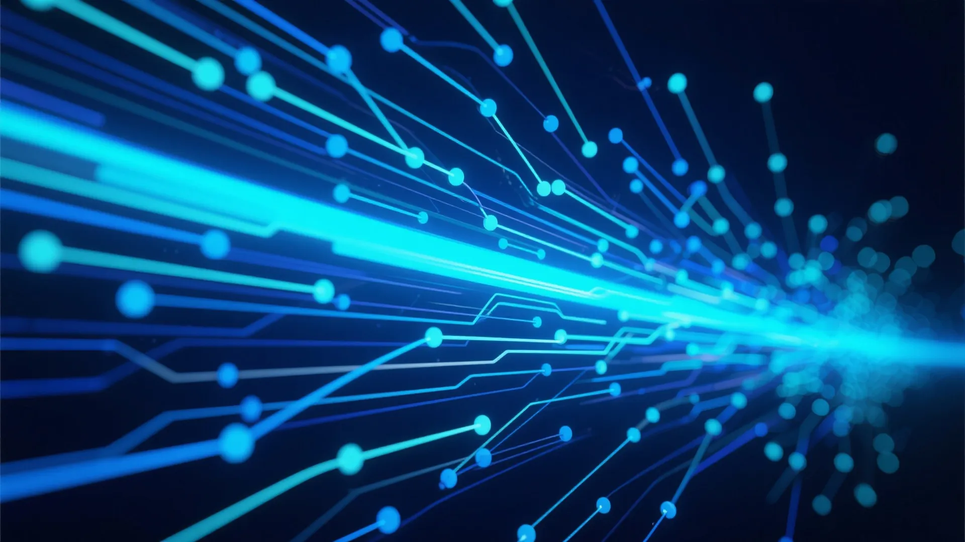 极速飞艇数字网络